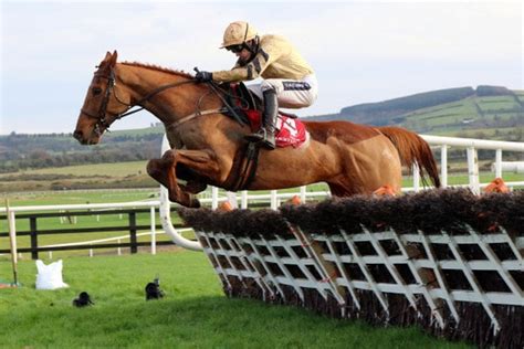 ante post cheltenham|Cheltenham Ante.